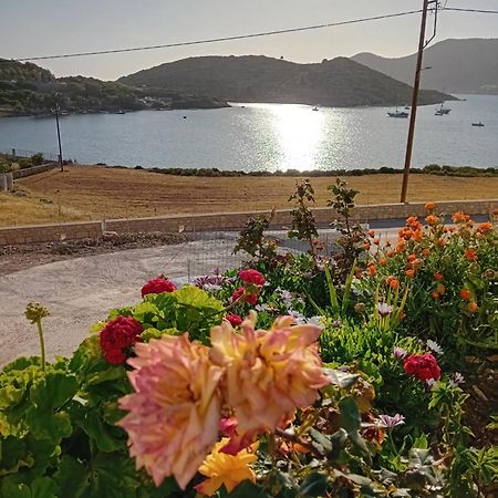 Aggeliki'S Apartments 利普西島 外观 照片