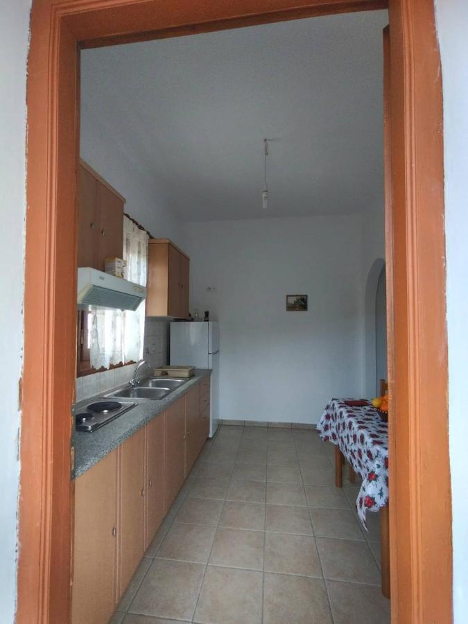 Aggeliki'S Apartments 利普西島 外观 照片