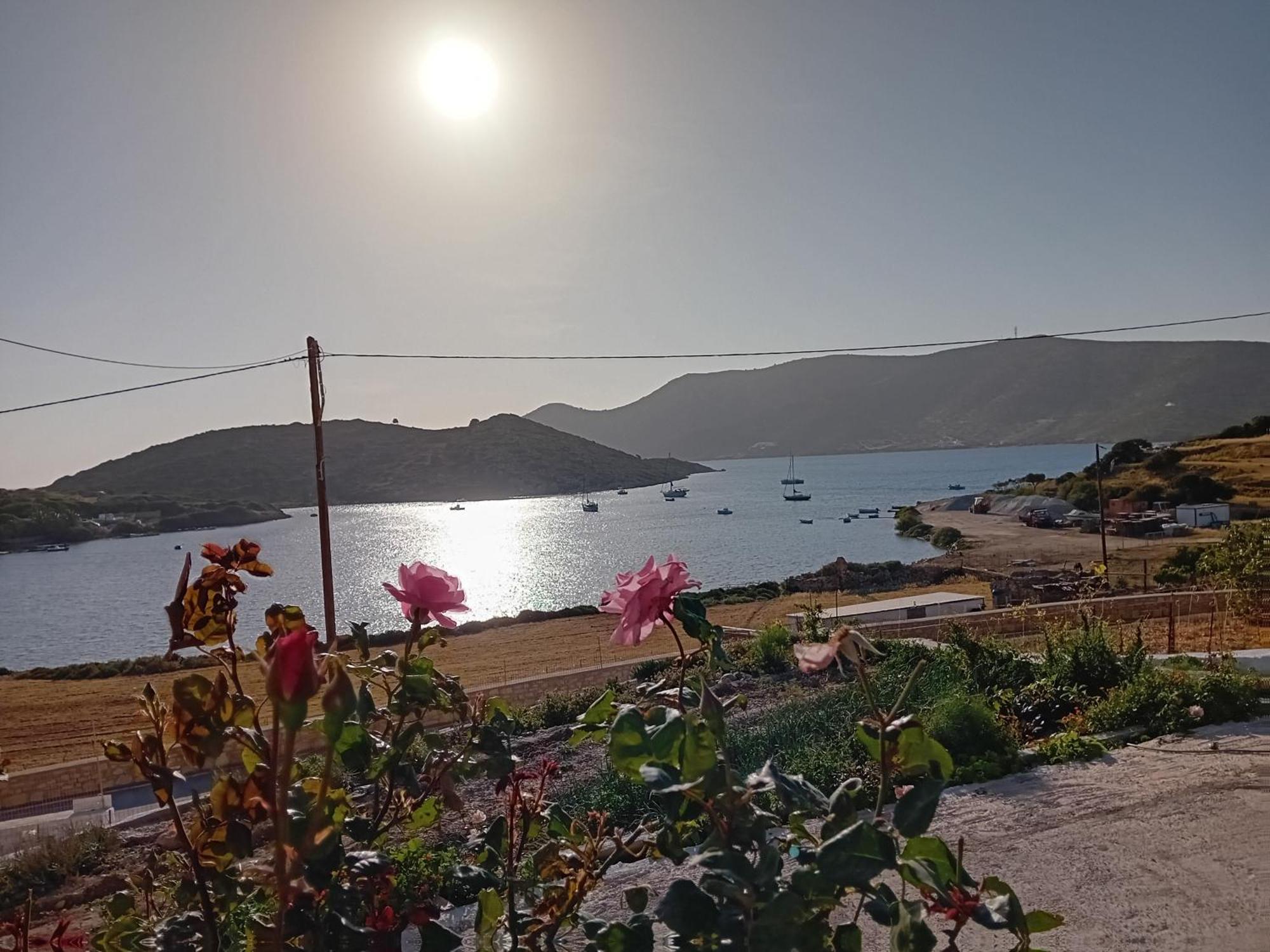 Aggeliki'S Apartments 利普西島 外观 照片